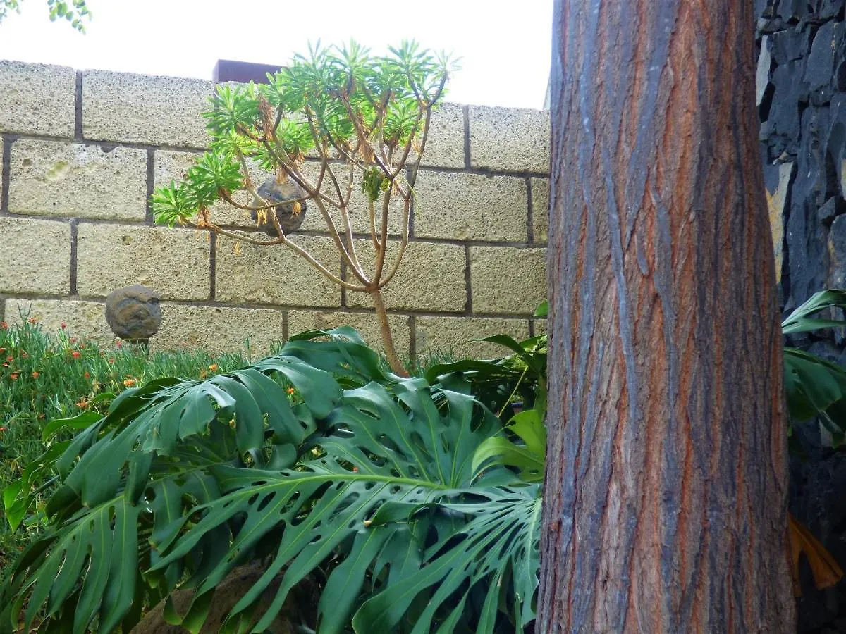 Eco Suites Caves La Laguna  0*, La Laguna (Tenerife)